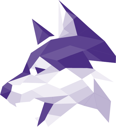 Washington iGEM website preview